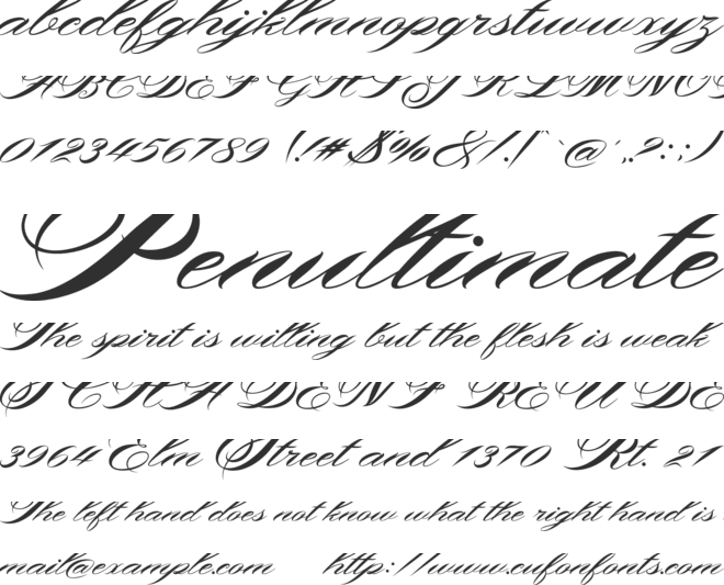 Shergine font preview