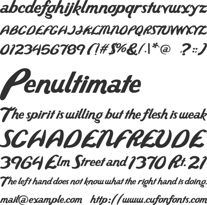 Wild Ride font preview