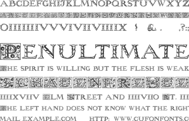 Wolnough Capitals font preview