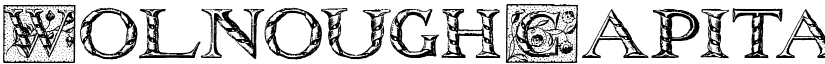 WolnoughCapitals font