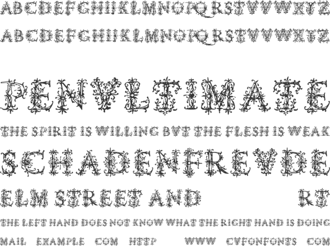 Vespasians Florials font preview