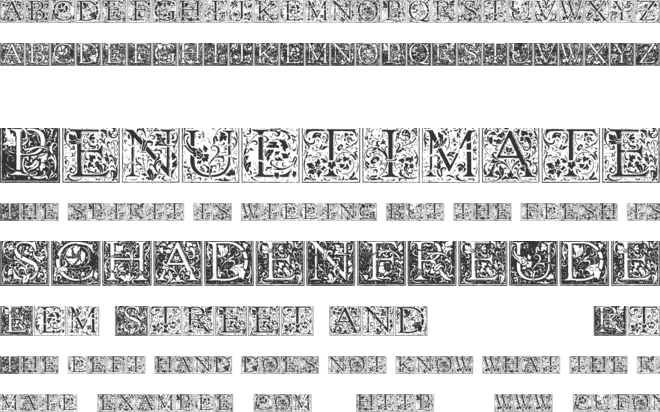 Florana Initials font preview