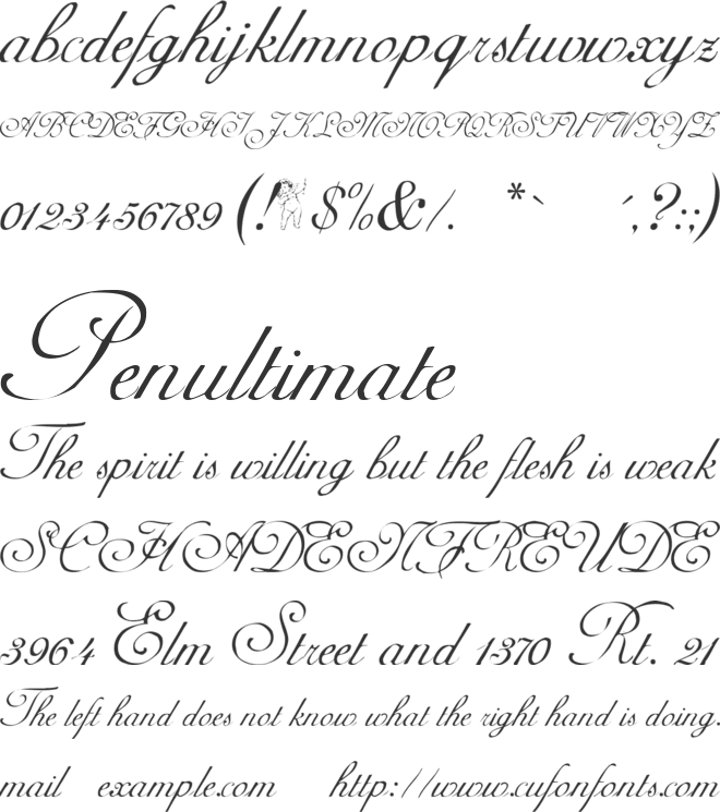 Adine Kirnberg font preview