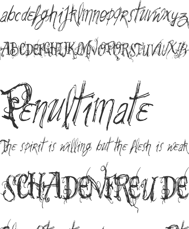 VTKS SummerLAnd font preview