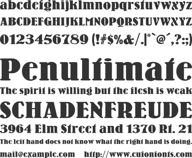 Wooden Nickel NF font preview