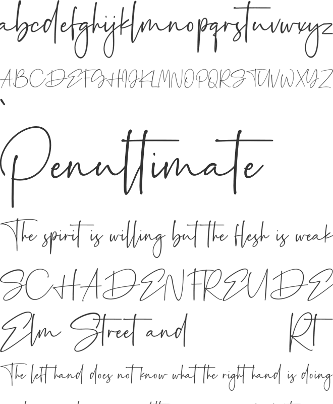 Palmaton font preview