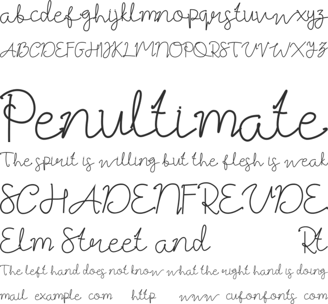 Best Signature Font font preview