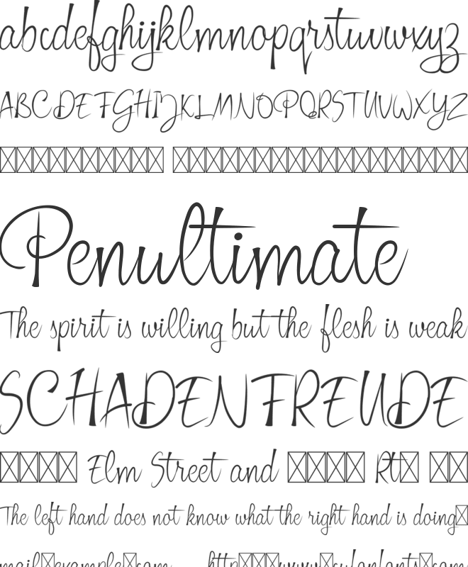 Praktys font preview