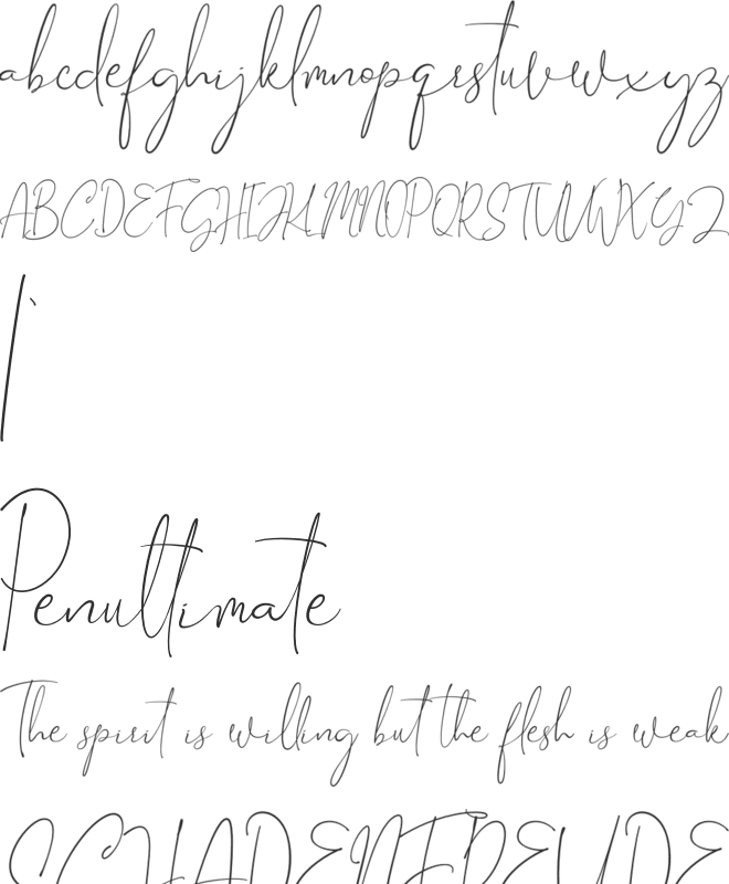 Gravity Handwritten font preview