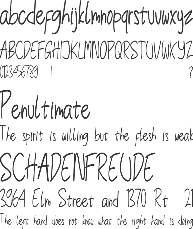 Little Rise font preview