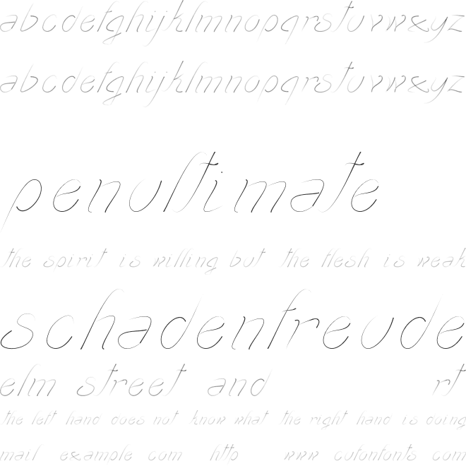 transient1 font preview