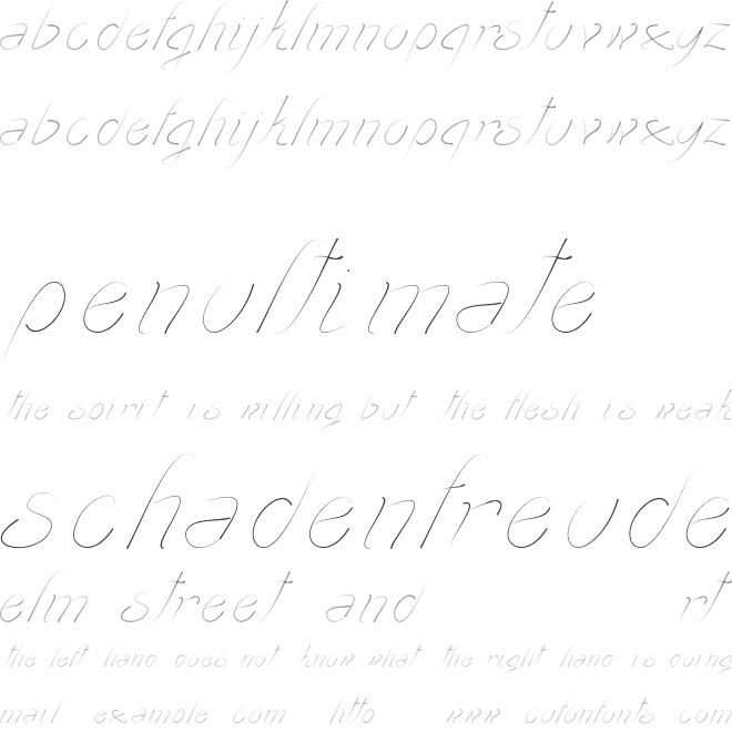 transient1 font preview