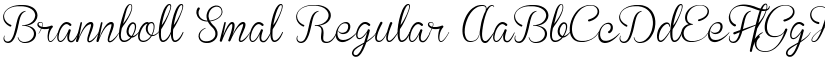 Brannboll Smal Regular font