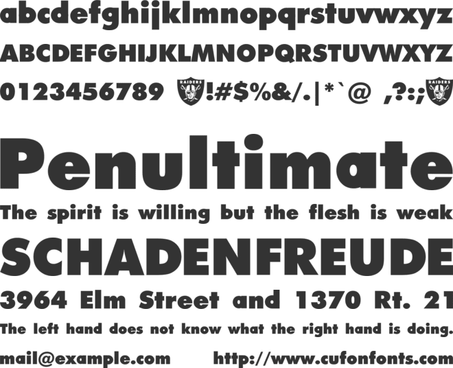 Raiders font preview