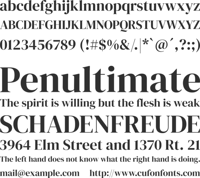 DM Serif Display font preview