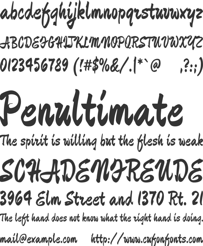 Zhi Mang Xing font preview