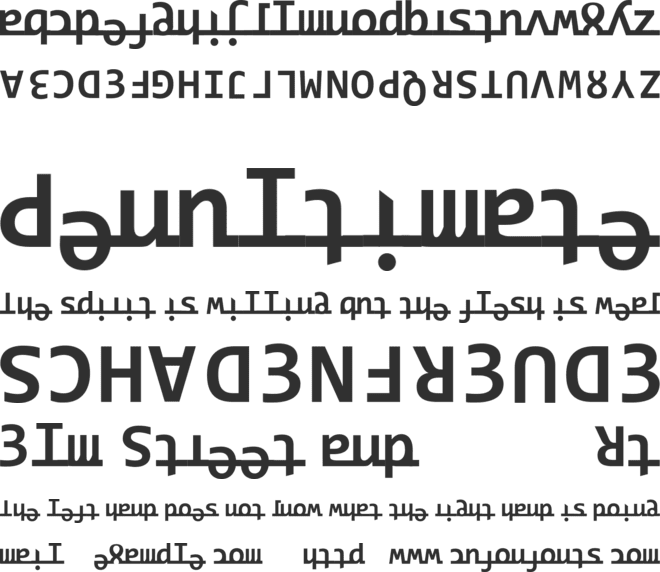 Ridicode font preview