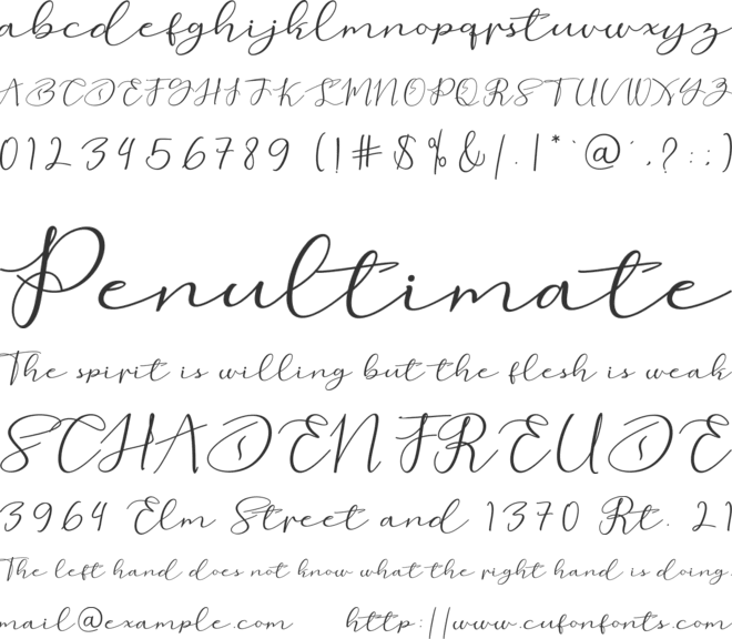 love beard font preview