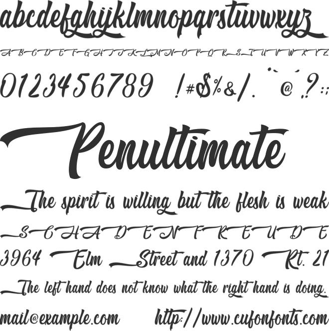 Likely Kitty - Personal Use font preview