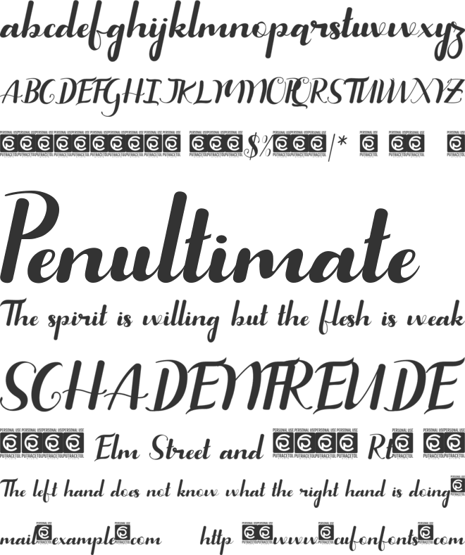 Micayla font preview