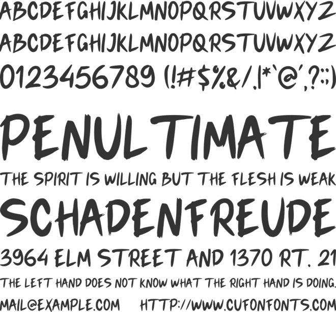 Alita Brush font preview