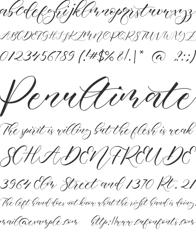 Beauty Beth font preview