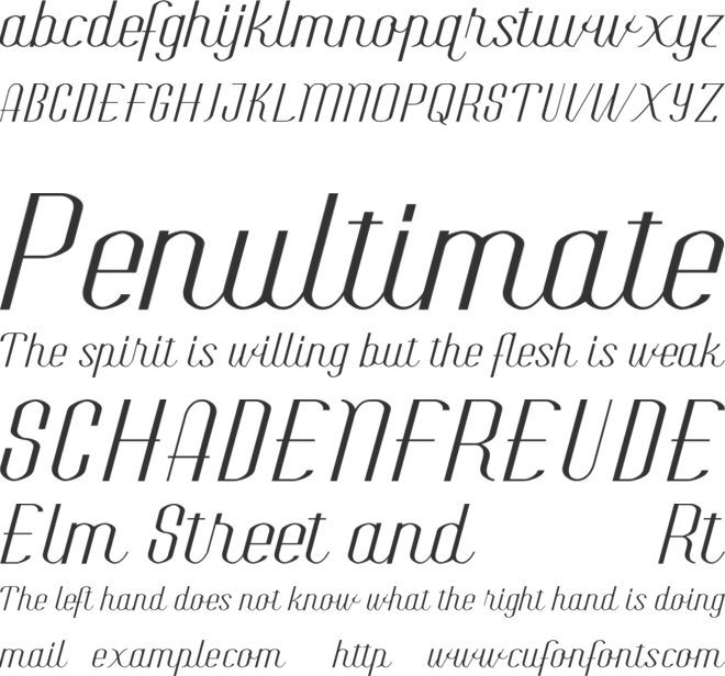 The Rotterdam City font preview