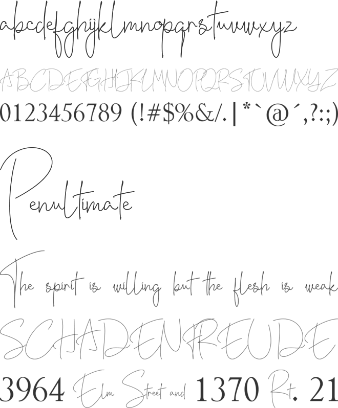 Bente Lite font preview