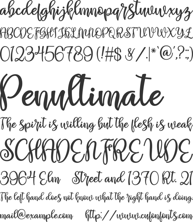 Shabira Bloom font preview