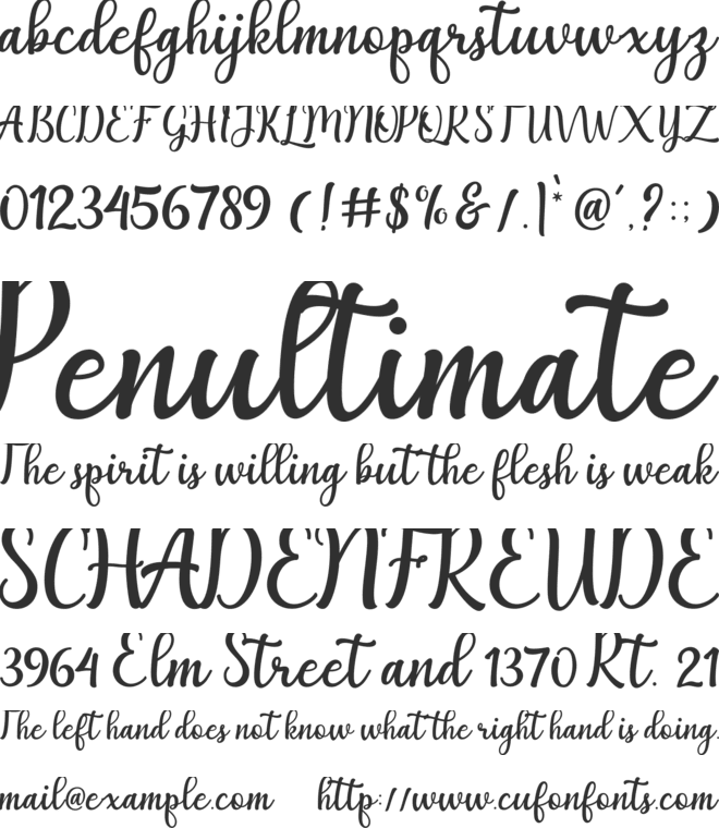 Agnetha font preview
