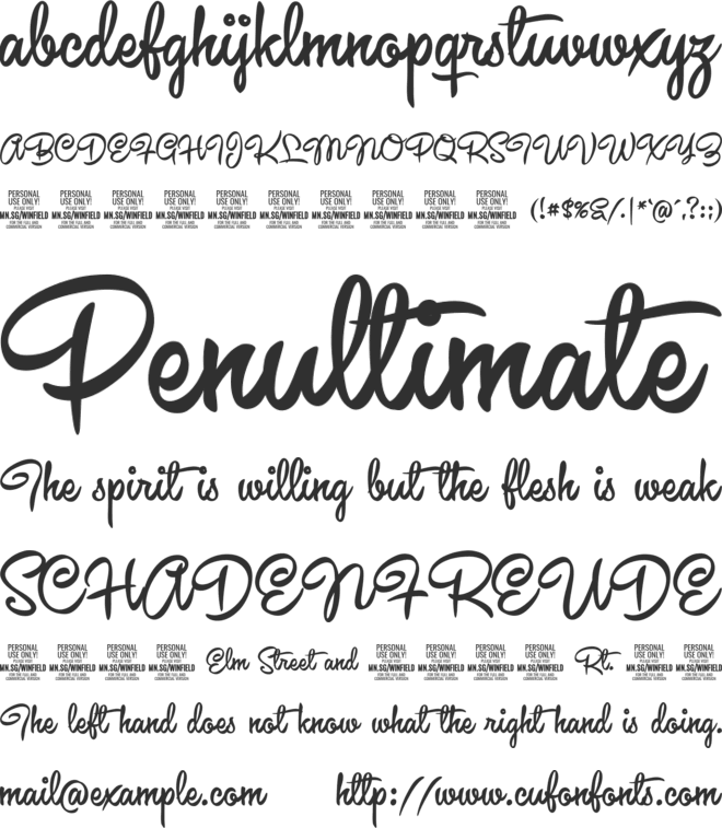 Winfield Script PERSONAL USE font preview