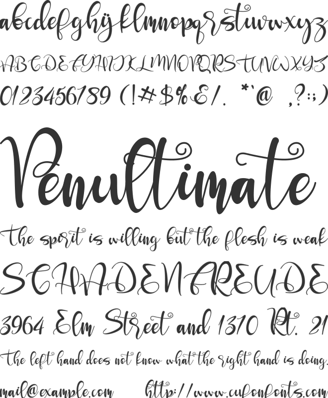 Seronita font preview