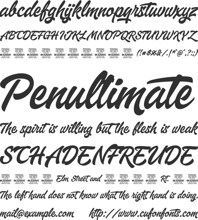 Aquate Script PERSONAL USE ONLY font preview