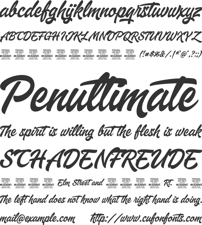 Aquate Script PERSONAL USE ONLY font preview