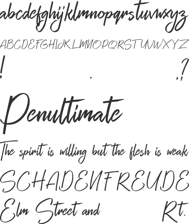 Zayne (free) font preview