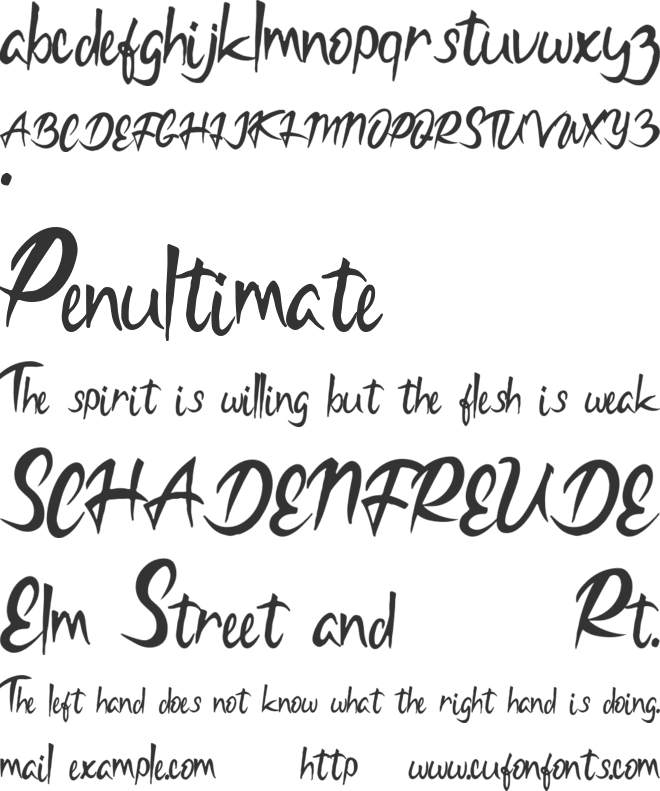 Fabiano Caruna font preview