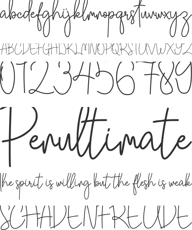 Southwill font preview