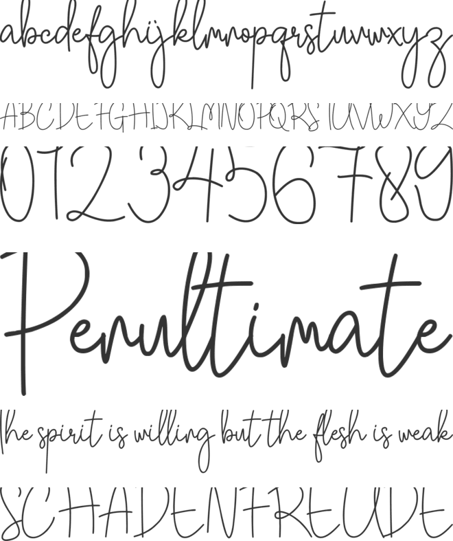 Southwill font preview