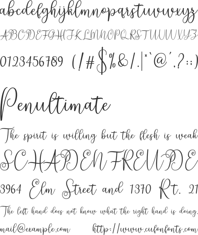 ningsih font preview