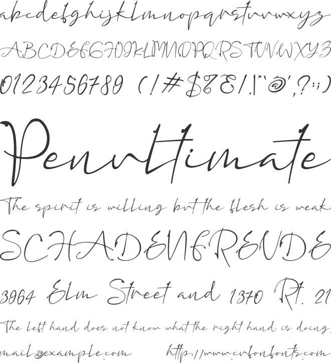 Assinatura font preview