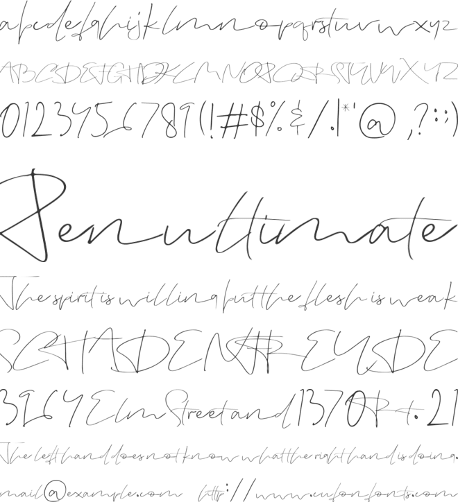 einstein font preview
