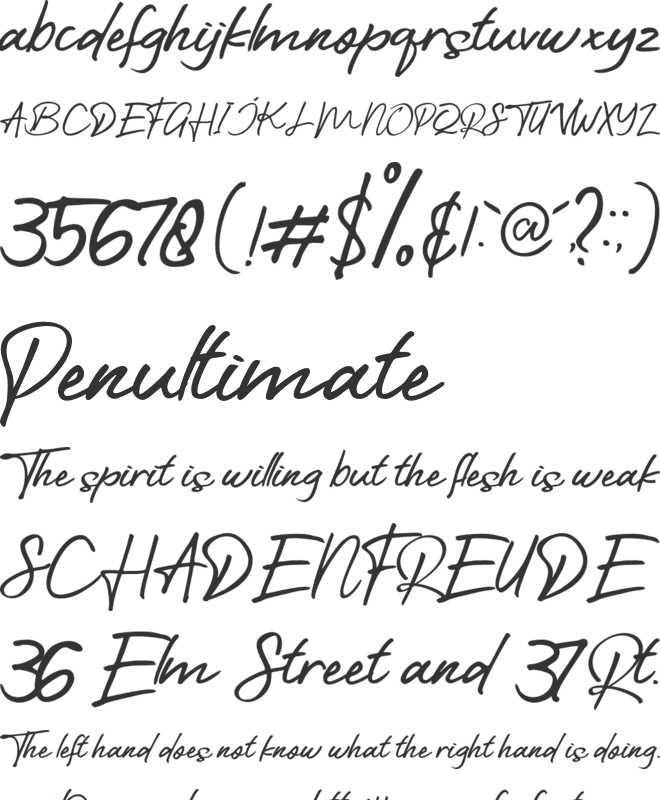 The Fighter font preview