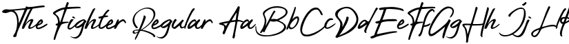 The Fighter Regular font