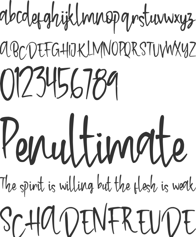 Panacota font preview