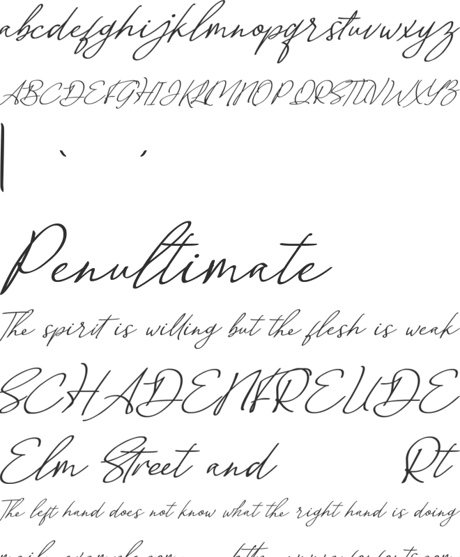 Malvinas Signature font preview