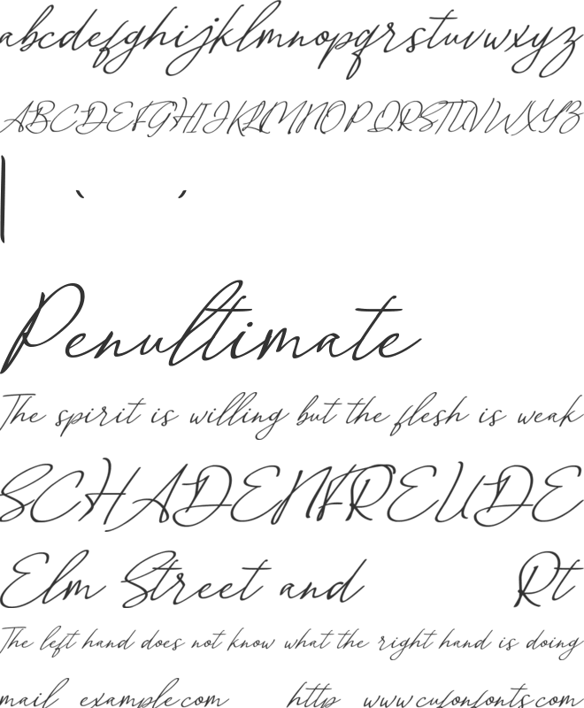 Malvinas Signature font preview