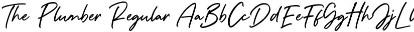 The Plumber Regular font