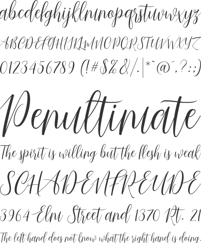 Just Married font preview