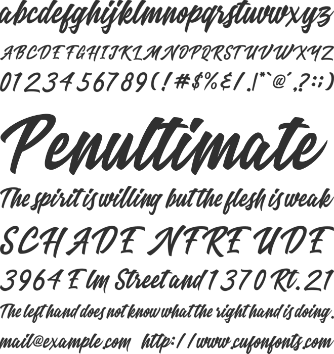 Ricefield font preview