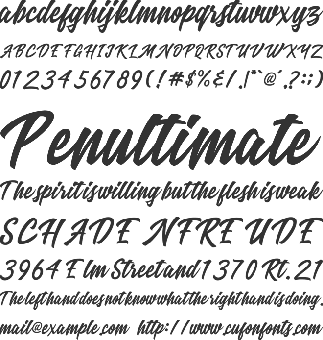 Ricefield font preview